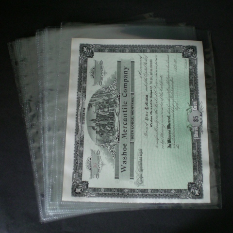 1 Pocket Page- Holds items up to 8 7/8 x 11 3/8. We use archival quality polypro